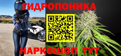 стафф Тула