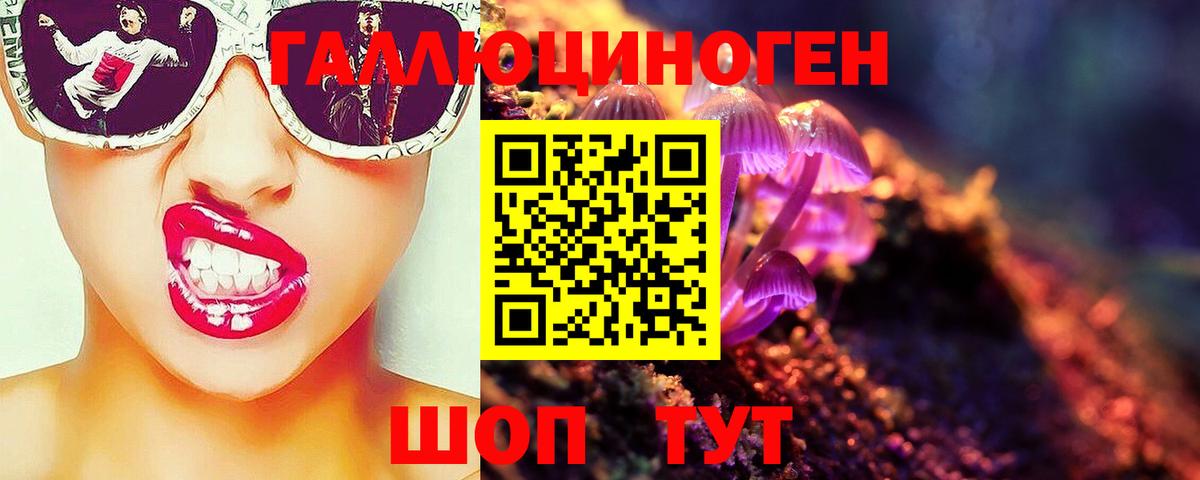Псилоцибиновые грибы прущие грибы  Вход с VPN  Оренбург  Псилоцибиновые грибы GOLDEN TEACHER 